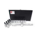 17 Parça 1/2” Torx Ve Lokmalı Allen Takımı C28s-17pth