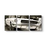 1967 Model Ford Mustang Tablosu 156 x 70-3 Parçalı