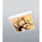 1x1 -TEKLI-60X60-TAVANA Yapışık LED PANEL-54W-SIVA Üstü Avize-Kolay Montaj-Ağaçlı- LED - Beyaz