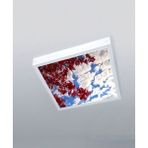 1X1-TEKLI-60X60-TAVANA Yapışık LED PANEL-54W-SIVA Üstü-Kolay Montaj-Kırmızı Ağaçlı- LED - Beyaz