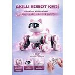 2.4G Uzaktan Kumandalı Akrobatik Kedi Robot - 360° Dönüş Ve Merdiven Tırmanma