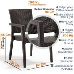 2 Ada Rattan Koltuk Bahçe Mutfak Bahçe Sandalyesi