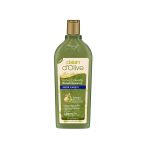 2 ADET Dalan 400Ml Şampuan D'Olive Kepek Karşıtı