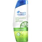 2 Adet Head & Shoulders Şampuan Yağlanma Karşıtı 400 ml