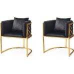 2 Adet Kardelen Tekli Berjer Babyface Kumaş Gold Metal Iskelet - Siyah