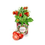 2 Adet Konserve Domates Yetiştirme Kiti Kb002
