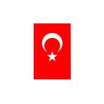 2 Adet Türk Bayrak 100X150