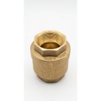 2'' Dikey Çekvalf Klepsan Pirinç