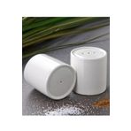 2 Li Porselen Tuzluk Biberlik 100ml