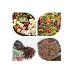2 Litre Ultra Organik Kaktüs Toprağı (17 Çeşit Ağaç Yaprağı Ve 3 Çeşit Hayvan Gübresi Karışımı)