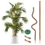2 paket yosun direği 63 inç Monstera bitki desteği yosun direkleri tırmanma bitkileri için bükülebilir daha uzun Coco Hindistan cevizi çubukları destek kazıkları uzun iç mekan sarmaşık DIY şekilli