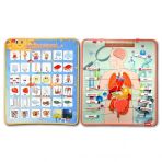 2 Set - 62 Parça İç Organlar Ve Zıt Kavramlar Keçe Cırtlı Duvar Panoları