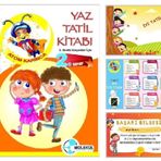 2. Sınıf Atom Karınca Yaz Tatil Kitabı Molekül Yayınları