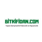 2 Yaş Dağ çileği (Kocayemiş) Fidanı