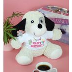20-25 cm Tişörtlü Pelüş Ayıcık, 20 cm Teddy Bear, Yumuşak Ayıcık, Sevgiliye Hediye,Ayı Teddy,Peluş Ayıcık,Plush Toys,Oturan ayı,Ofis Hediyesi,Renkli Ayıcık,İyi ki Varsın,Tişörtlü,Ayıcık (korsan köpek)