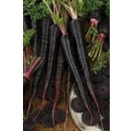 20 Adet Black Nebula Havuç Tohumu