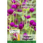 20 Adet Hanım Düğmesi Tohumu