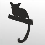 20 cm Rakun Folyo Sticker