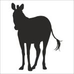 20 cm Zebra Folyo Sticker