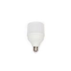 20 Watt Torch Led Ampul