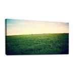 20 "x 40" Büyük Duvar Sanatı Vintage fotoğraf genç yeşil mısır gevreği tarlası Oturma Odası Yatak Odası için Tuval Üzerine Resim Baskı Duvar Sanatı Modern Ev Duvar Dekoru Çerçeveli Sanat Eseri