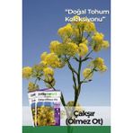 200 Adet Çakşır (Ölmez Ot) Tohumu