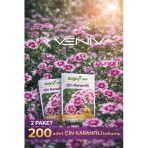 200 Adet Çin Karanfil Tohumu - 2 Paket