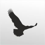 200 cm Kartal Folyo Sticker