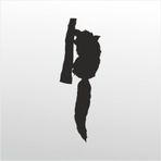200 cm Rakun Folyo Sticker