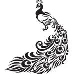 200 cm Tavus Kuşu Folyo Sticker