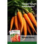 2000 Adet Kırmızı Havuç Tohumu