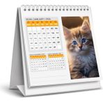 2026 Kedi Masa Takvimi
