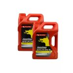 20W-50 Lpg Sentetik Motor Yağı 2 X 4 Litre Synthetıc Motor Oil