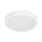 20W LED Tavan Lambası, LED Glop Armatürü 6500K Beyaz ışık MANOLYA VL811020