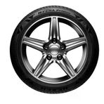 215/50R17 95V Xl N'fera Prımus