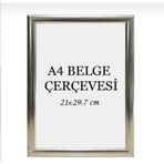 21x30 Fotoğraf Resim Poster Sertifika Çerçevesi