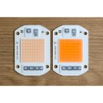 220V Projektör Cob LED 50W Driver Çipli - Pembe