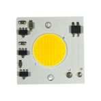 220VOLT 30 Watt Cob LED 30W Projektör Ledi Ray Spot Ledi Gün Işığı