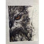 22X18 cm Ütü Ile Yapışan Baykuş Gözü Baskı Aplike Tişört Baskı Arma Yama Dikiş Hobi