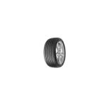 245/45R19 102W Xl Carmıle Sport Mılestone (Y26) *