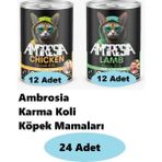 24'lü Ambrosia Yetişkin Kedi Maması Karma Koli 011