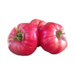 25 Adet Tohum Nadir Iri Bulgar Pembe Domates Tohumu Hobi Bahce Domatesi Tohumu Hediye Tohumlu