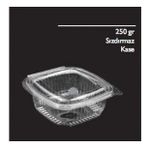 250 GR SIZDIRMAZ PLASTİK KAB KAP KASE 100'LÜ