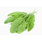 250+ Kuzu Kulağı Otu Tohumu Limon Aromasında N112704