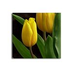 2645 Sanat Sarı Lale EkoTablo-50 X 70 Cm Yatay