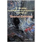 27 Day Span: Out-Of-Body-Near-Death Experience: Shared Crossing
