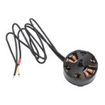 2808 Fırçasız Motor, çok Rotorlu RC Modelleri Için ısıya dayanıklı Fırçasız Disk Motor (CW)