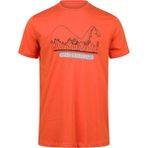 2AS Alex Baskılı Erkek Sıfır Yaka T-Shirt 016 - Turuncu