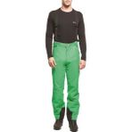 2AS Peak Yeşil Erkek Kayak Pantolonu