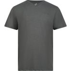 2AS Victor Antrasit Viloft V Yaka Erkek T-shirt